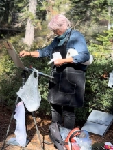 38936076-024C-4937-AA8D-83C58F94EFA2