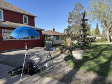 Plein Air at my "Woodland"